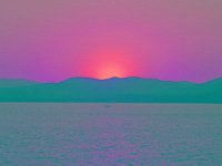 IMGP2784 edited (Medium)